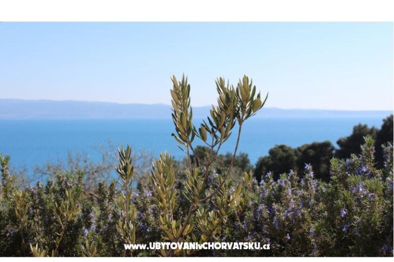 Appartamenti ELI – foto 3