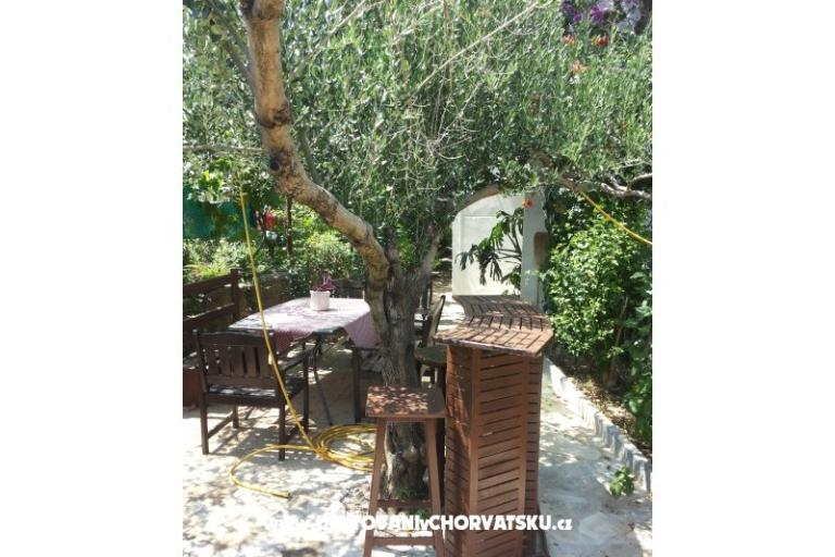 Appartamenti SILVA /                  – foto 12