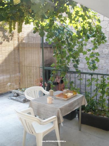 Camere Pasko – foto 7