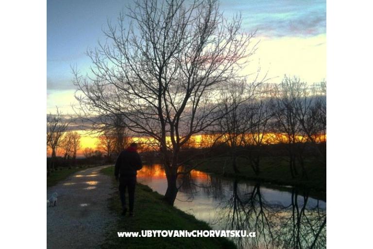 Appartamento Dujmovic – foto 17