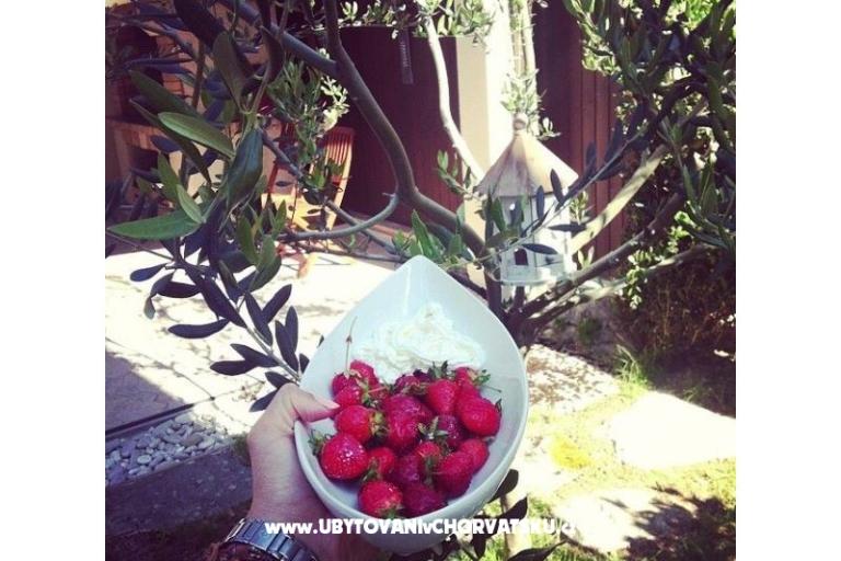 Appartamento Dujmovic – foto 4