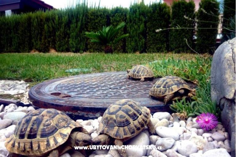Appartamento Dujmovic – foto 5