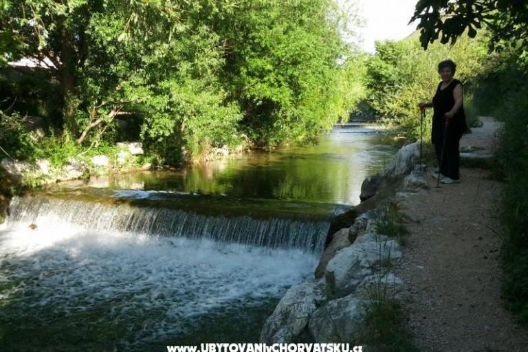 Whole house & garden only for you – foto 13