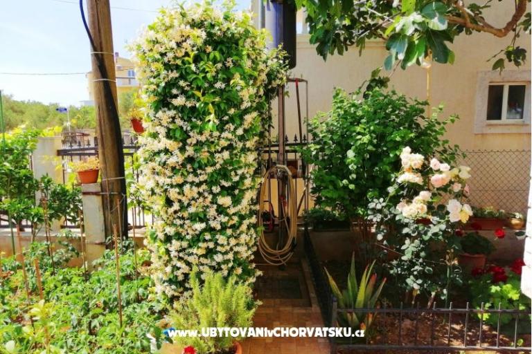 Appartamenti Brković – foto 8