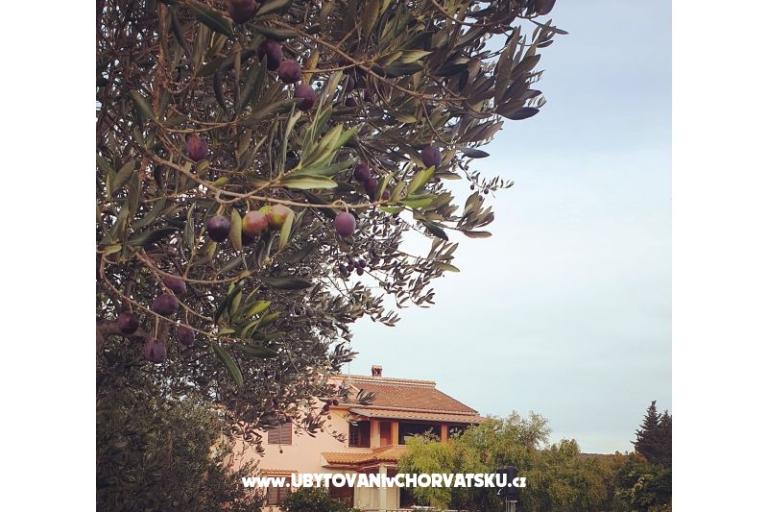 Appartamenti DARIO - Sukošan – foto 14