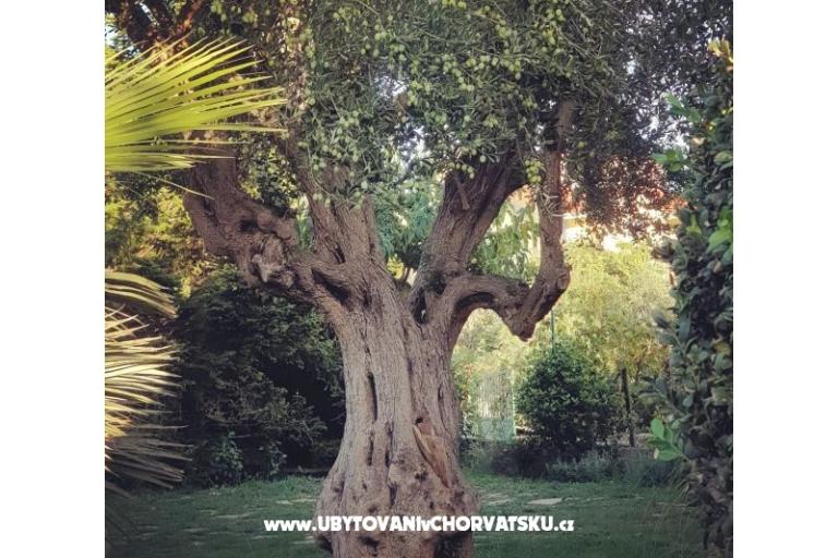 Appartamenti DARIO - Sukošan – foto 55