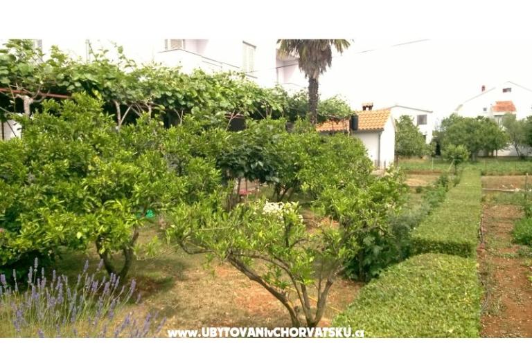 Appartamenti Šarić – foto 11