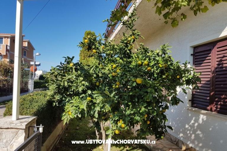 Appartamenti Žeger – foto 13