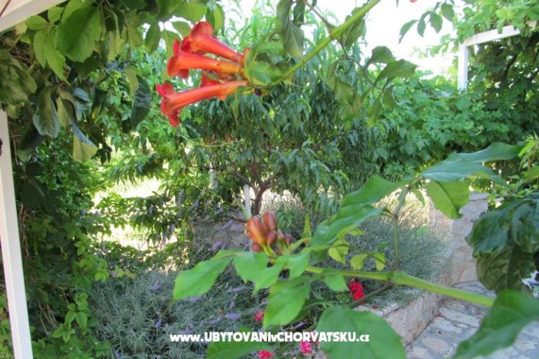Appartamenti Žeger – foto 6