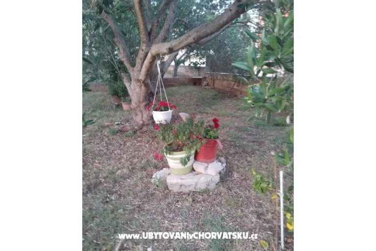 Appartamenti Daša – foto 17