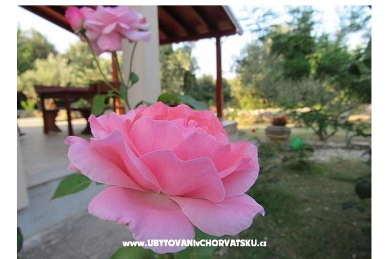 Case vacanza Dević – foto 2