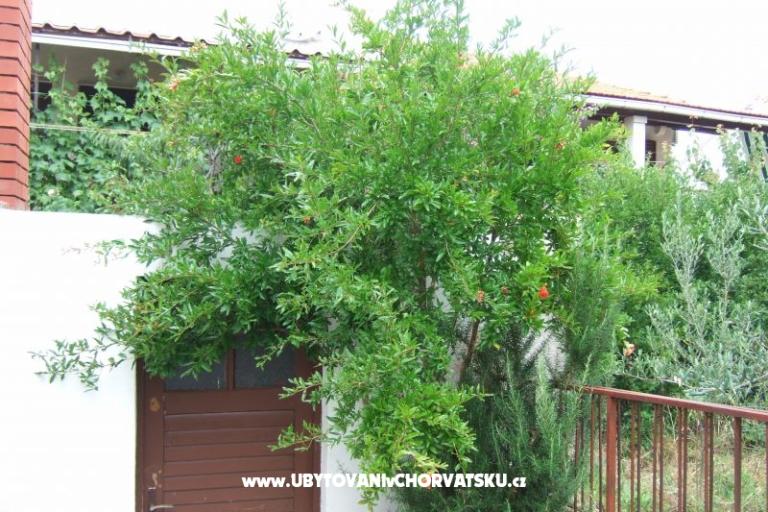 Appartamento Lenka – foto 5