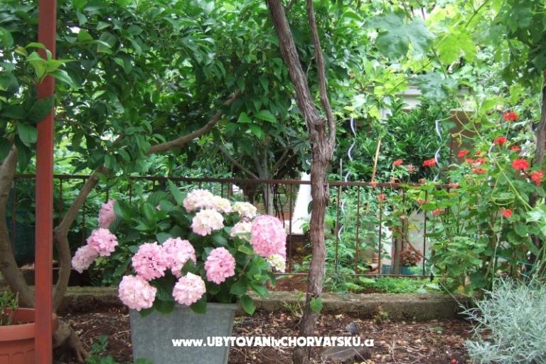 Appartamento Lenka – foto 7
