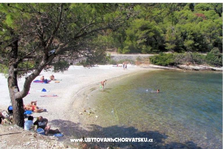 Appartamenti Beba – foto 17