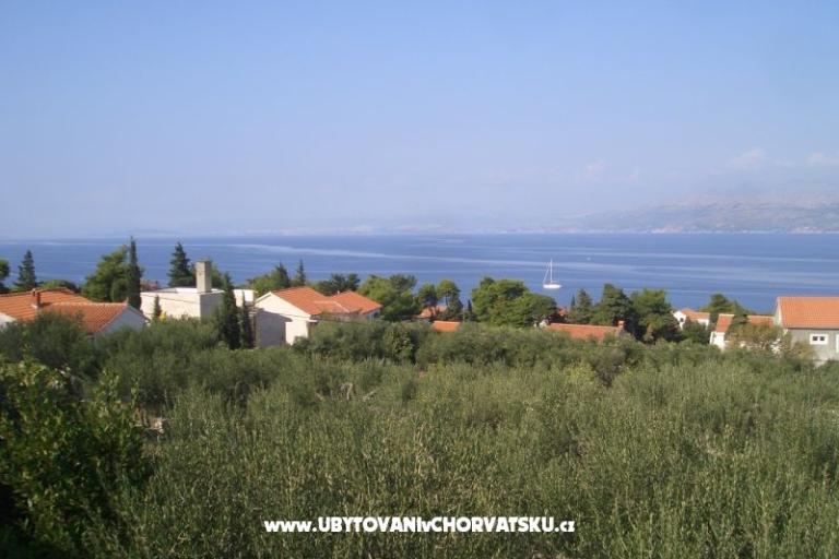 Appartamenti Marino – foto 5