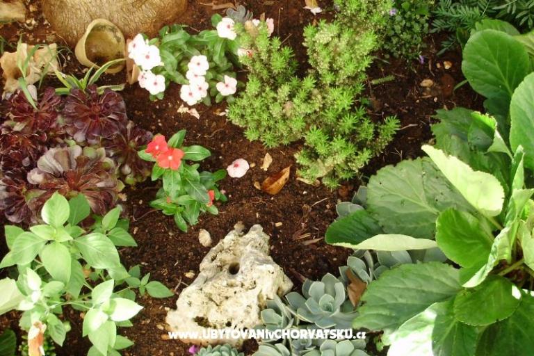 Appartamenti Petranic – foto 15