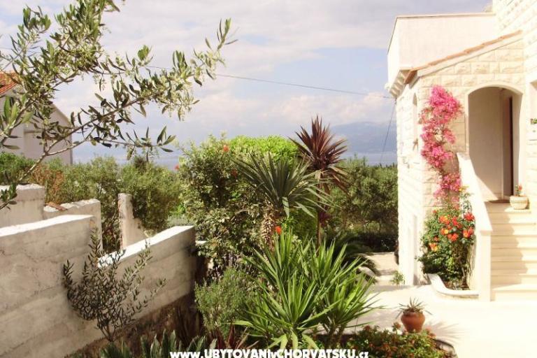 Appartamenti Petranic – foto 16