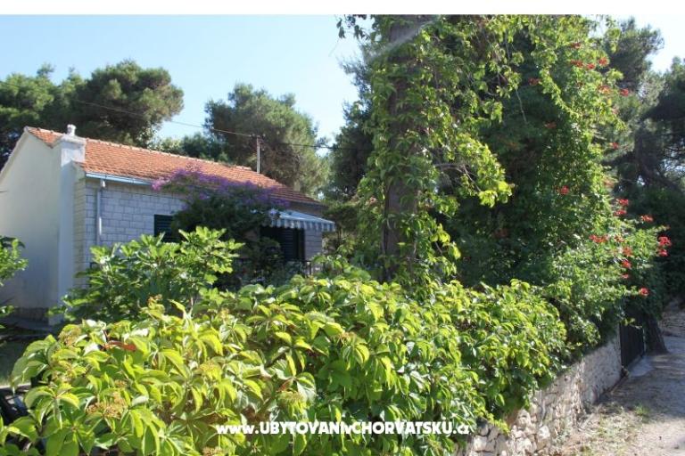 Villa Dragan – foto 3