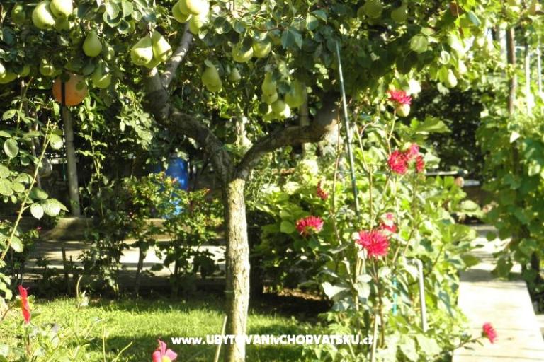 Appartamenti Lucija – foto 16