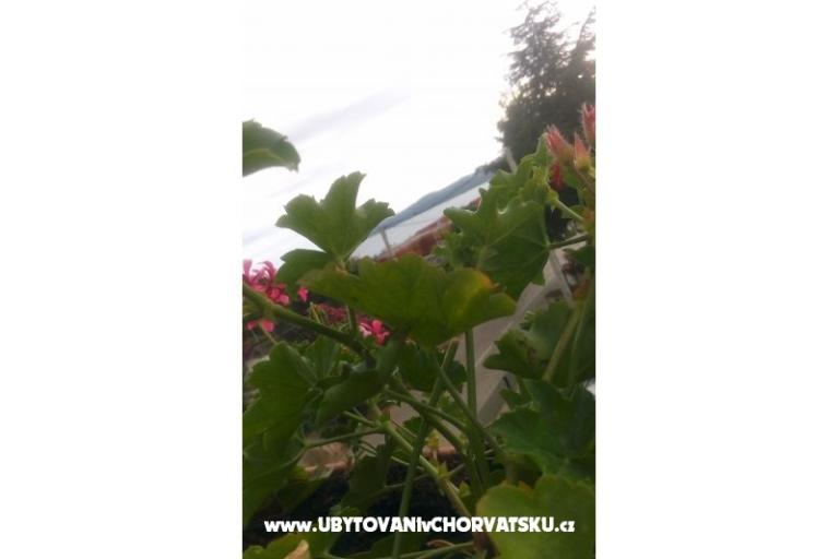Appartamenti Ira – foto 11