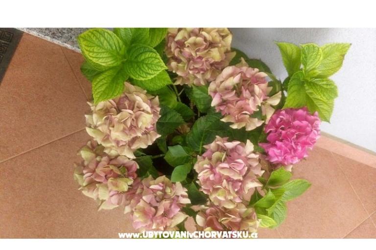 Appartamenti Ira – foto 12