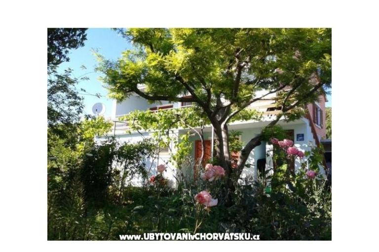 Appartamentot Anđelić – foto 2