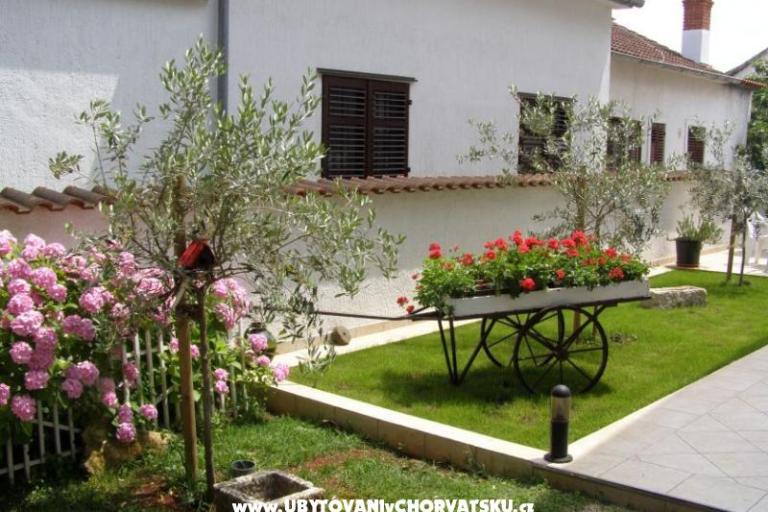 Appartamenti Roviš – foto 7