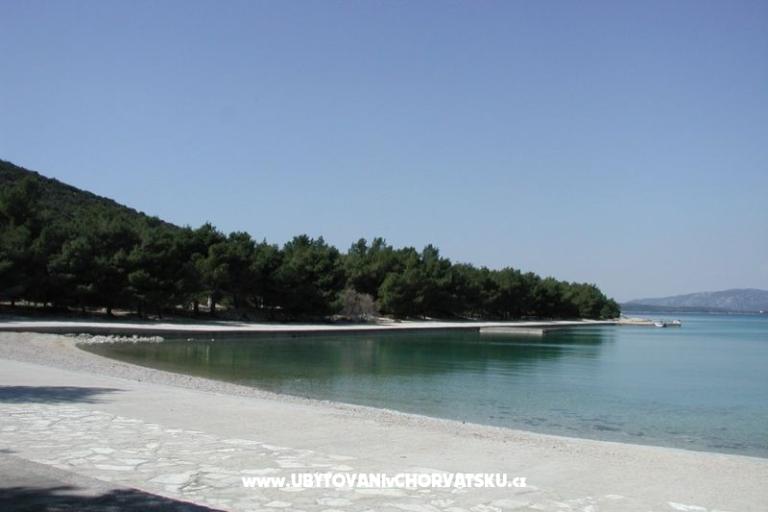 Appartamenti Adi – foto 5