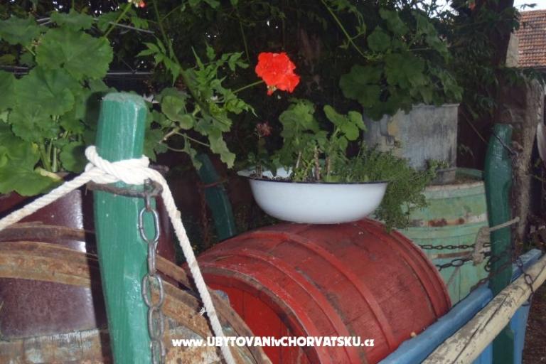 Appartamenti Mara – foto 17