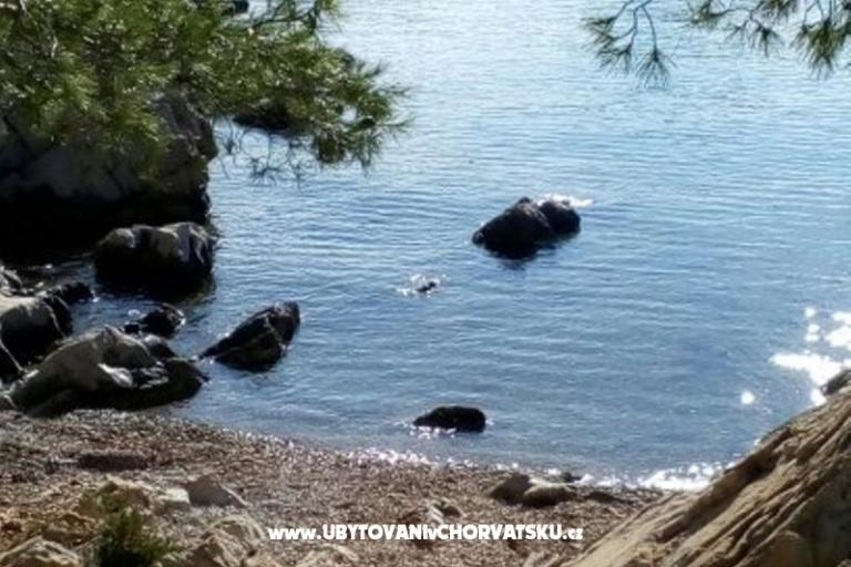 Appartamento - kamena kuća  Šparoga – foto 7