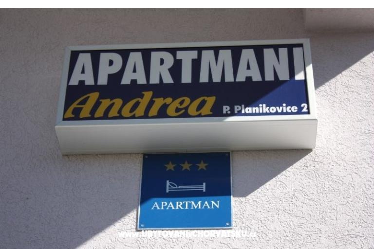 Andre Appartamenti – foto 4