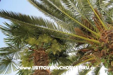 Appartamento Antea – foto 17
