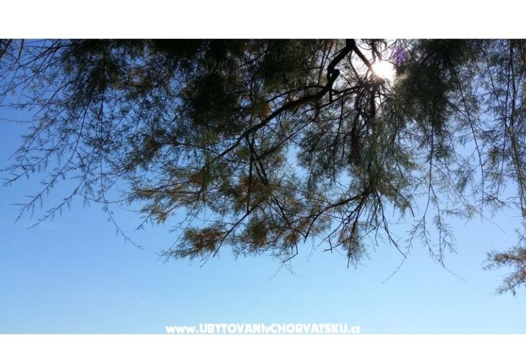 Appartamento Rita – foto 8