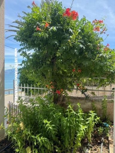 Appartamenti Adria – foto 20