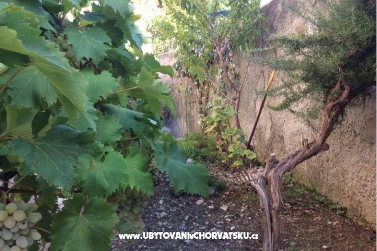 Appartamenti Adria – foto 5