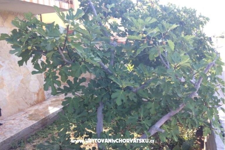Appartamenti Adria – foto 6