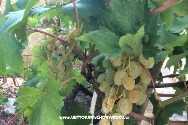 Appartamenti Adria – foto 8
