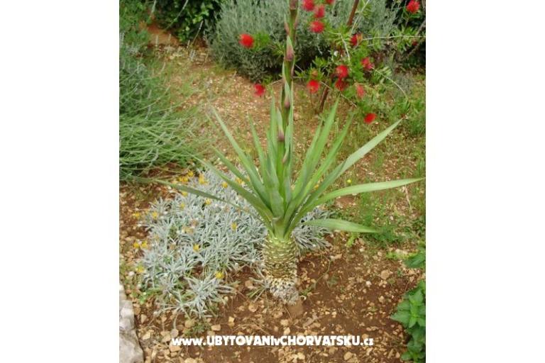 Appartamenti Anita – foto 6