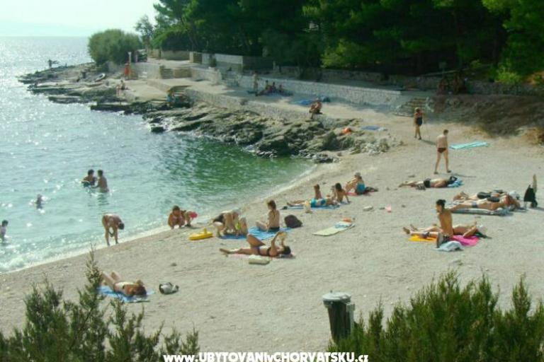 Appartamenti Aniva – foto 15