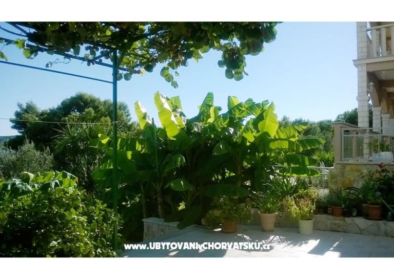 Appartamenti Anka Marin – foto 8