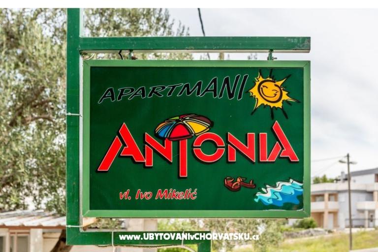 Appartamenti Antonia – foto 18