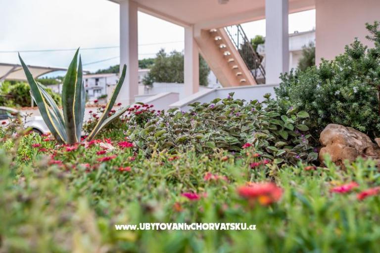 Appartamenti Antonia – foto 6