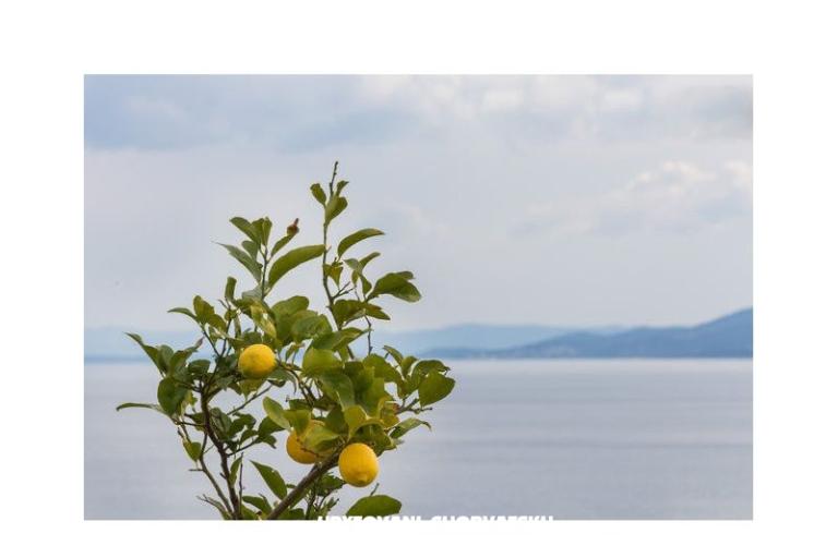 Appartamenti Babaja – foto 8