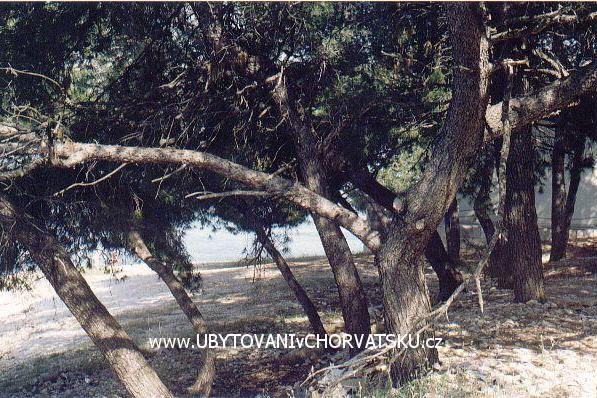 Appartamenti Darko – foto 7