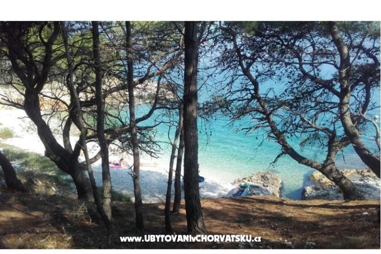 Appartamenti Leut – foto 16
