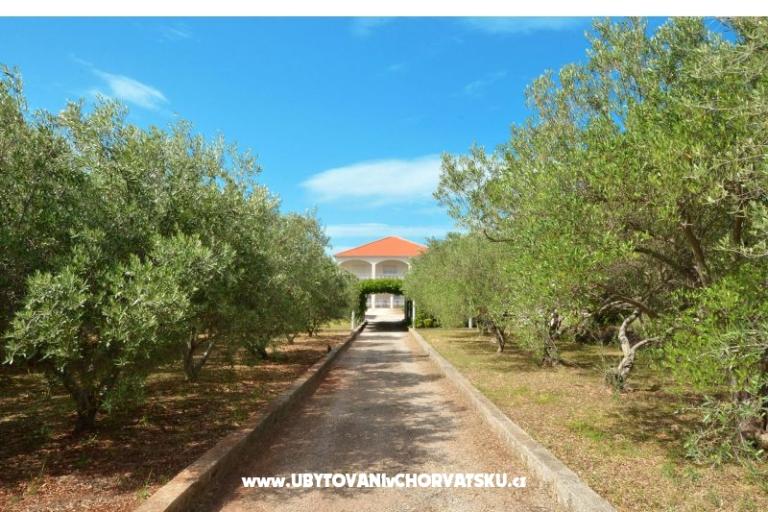 Appartamenti Lukas – foto 11