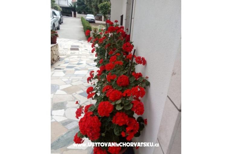 Appartamenti Malic – foto 10
