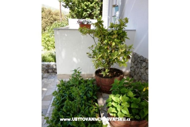 Appartamenti Mare – foto 7