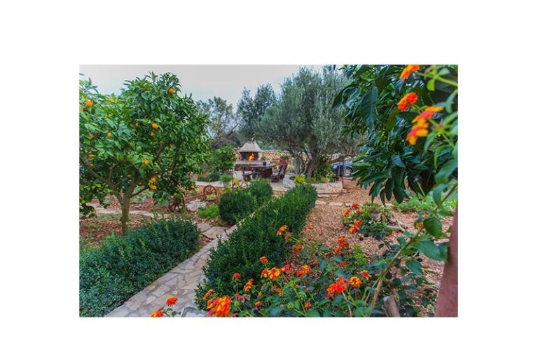 Appartamenti Marin*** – foto 6