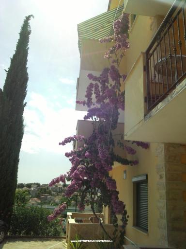 Appartamenti Mia – foto 8